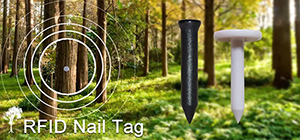 Can RFID Tags Revolutionize Forestry Management
